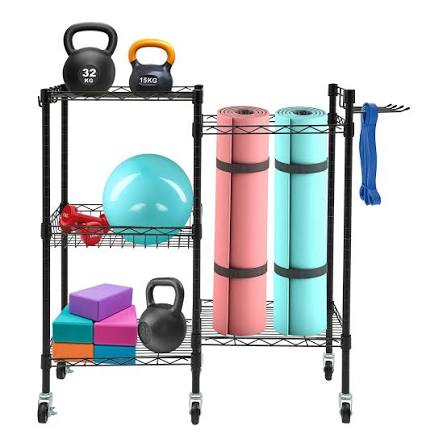 Fitness Accessories